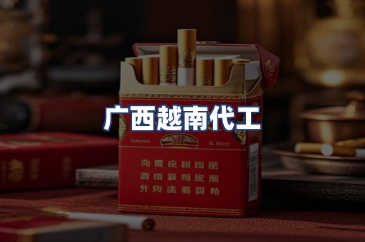 广西越南代工